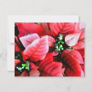 Happy Holidays_ Holiday Card