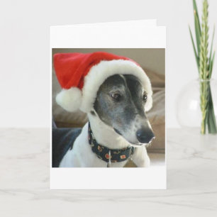 Happy Holidays Holiday Card