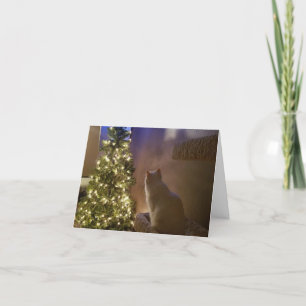 Happy Holidays Holiday Card