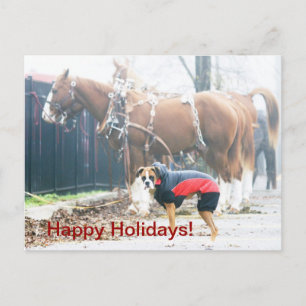 happy holidays holiday postcard