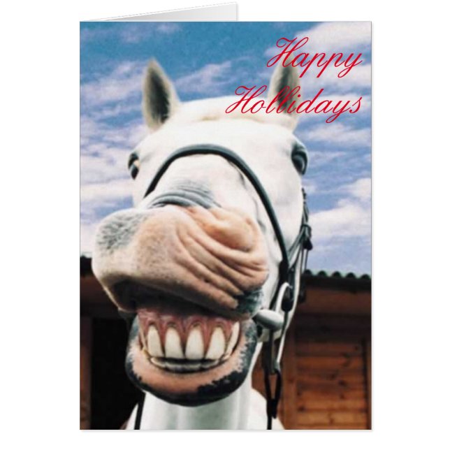 Happy Holidays Horse Cards (Front)
