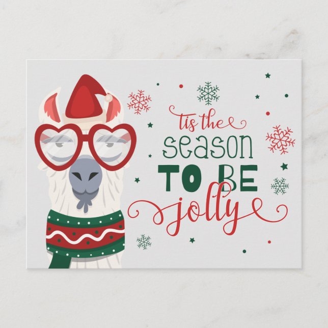 Happy Holidays Lllama | Tis the Season to Be Jolly Postcard (Front)