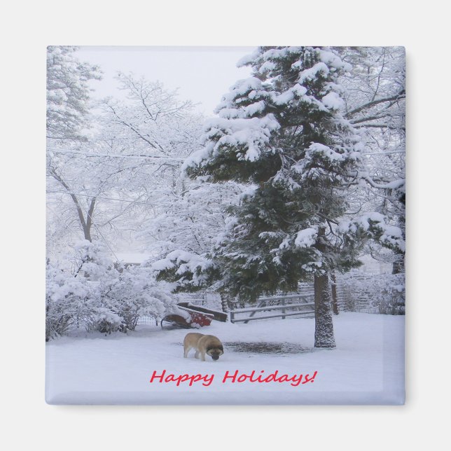 Happy Holidays!... Magnet (Front)