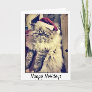 Happy Holidays - Persian Cat Holiday Card