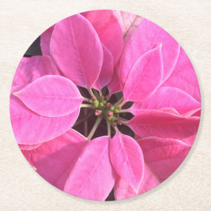 Happy Holidays Poinsettia Round Paper Coaster