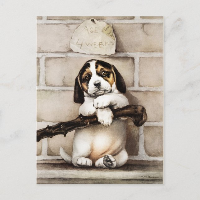 Happy Holidays Postcard (Front)