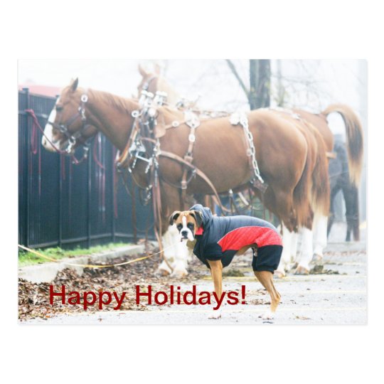 happy holidays postcard