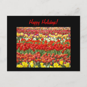 Happy Holidays! postcards Red Tulip Flowers