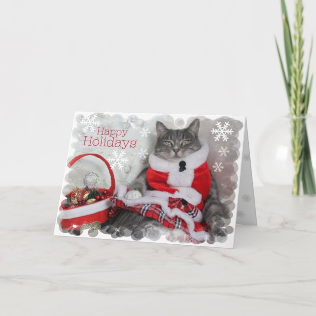 Happy Holidays! purr... from pretty cat. Holiday Card (Front)