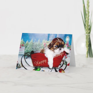 Happy Holidays Shih Tzu Holiday Card