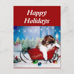 Happy Holidays Shih Tzu Holiday Postcard