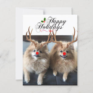 Happy Holidays Sushi & Sunday Holiday Cards