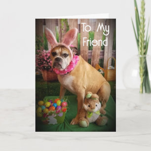 **HAPPY HOLIDAYS** TO A "SPECIAL FRIEND" HOLIDAY C