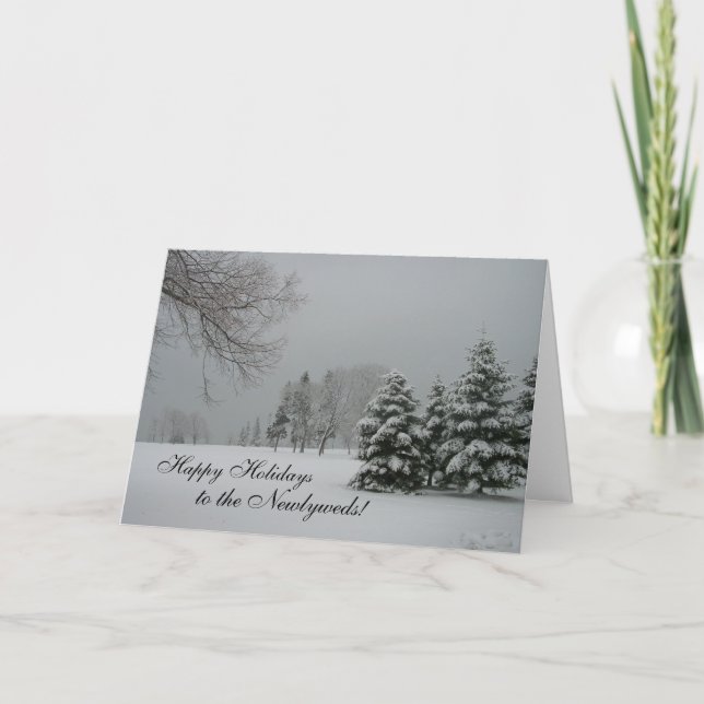 Happy Holidays to the Newlyweds!-Winter Landscape Holiday Card (Front)