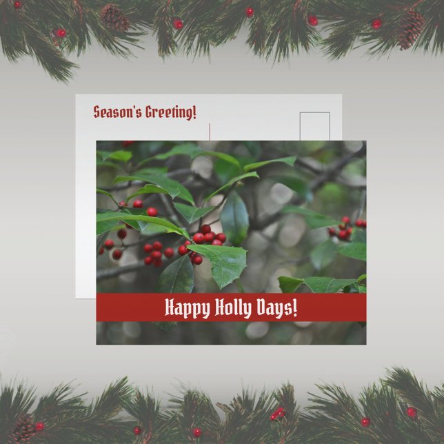 Happy Holly Days Season's Greeting Holiday Postcard (Creator Uploaded)