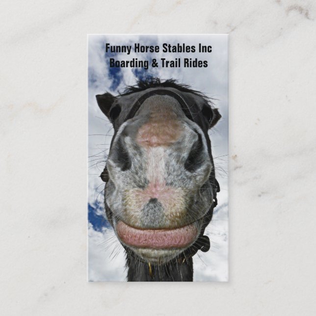 Happy Horse! Funny Nosey Horse Smiles Business Card (Front)
