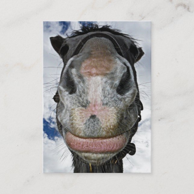 Happy Horse! Funny Nosey Horse Smiles Business Card (Front)