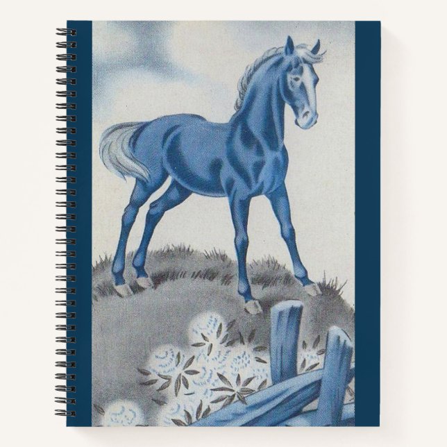happy horse in blue notebook (Front)