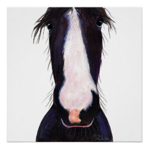 Happy Horse ' JeFF ' by Shirley MacArthur Poster