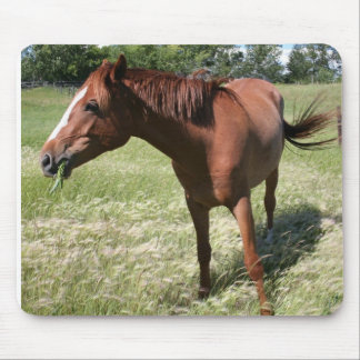 Happy Horse Mouse Mat