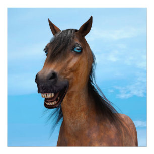 Happy Horse Photo Print