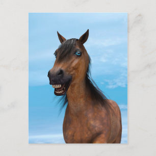 Happy Horse Postcard