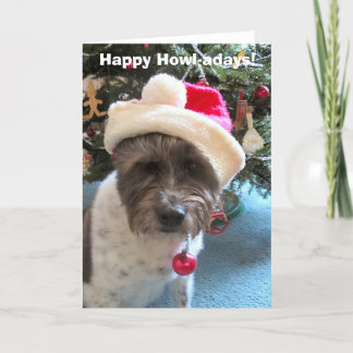Happy Howl-adays! (Holiday Card) Holiday Card