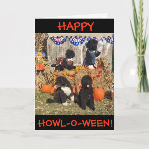 Happy Howl-O-Ween! Bo and Sunny - Greeting Card