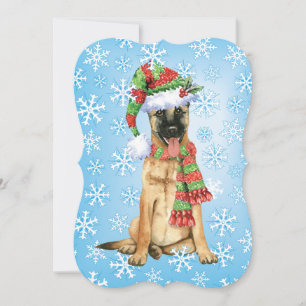 Happy Howlidays Belgian Malinois Holiday Card
