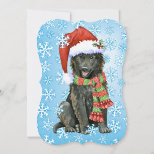 Happy Howlidays Belgian Sheepdog Holiday Card