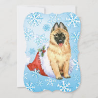 Happy Howlidays Belgian Tervuren