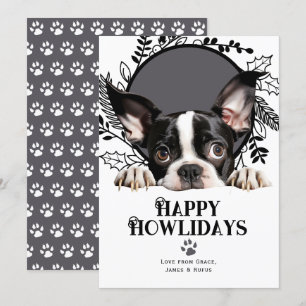 Happy Howlidays Boston Terrier Dog Christmas Holiday Card