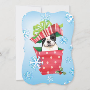 Happy Howlidays Boston Terrier Holiday Card
