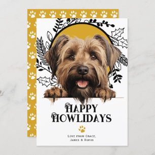 Happy Howlidays Briard Dog Christmas  Holiday Card