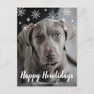 Happy Howlidays Chalk Script Snowflakes Photo Dog Holiday Postcard