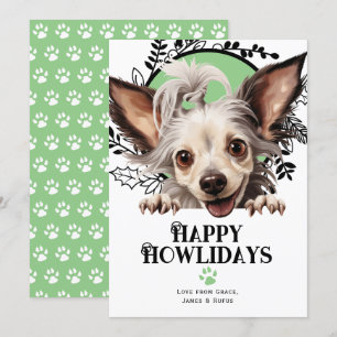 Happy Howlidays Chinese Crested Dog Christmas Holiday Card