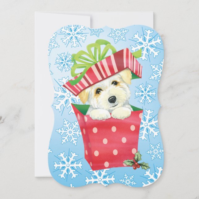 Happy Howlidays Coton Holiday Card (Front)