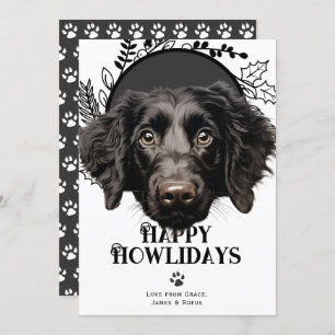 Happy Howlidays Curly-Coated Retriever Christmas  Holiday Card