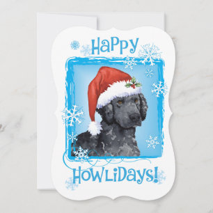 Happy Howlidays Curly-Coated Retriever Holiday Card