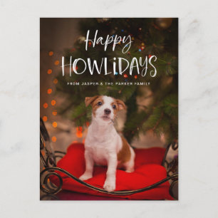 Happy Howlidays   Cute Pet Dog Christmas Photo Holiday Postcard