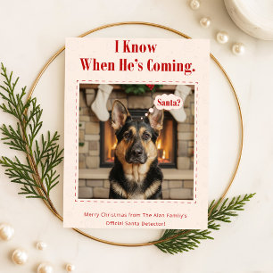 Happy Howlidays Cute Pet Photo Dog Christmas Holiday Card