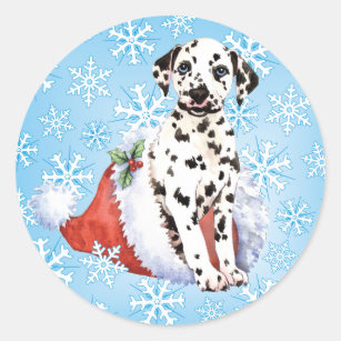 dalmatian gift ideas