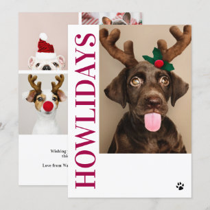 Happy Howlidays Dog Christmas 5 Photo Card