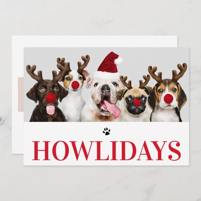 Happy Howlidays Dog Christmas 5 Photo Card (Front/Back)