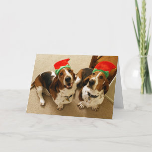Happy Howlidays Holiday Card