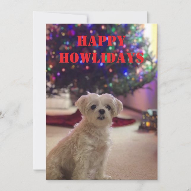 Happy Howlidays Invitation (Front)