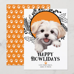 Happy Howlidays Maltese Dog Christmas Holiday Card