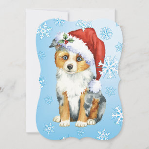Happy Howlidays Mini American Shepherd Holiday Card