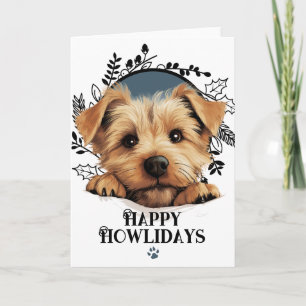 Happy Howlidays Norfolk Terrier Dog Holiday Card
