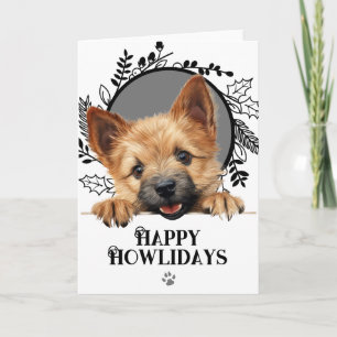 Happy Howlidays Norwich Terrier Dog Christmas Holiday Card